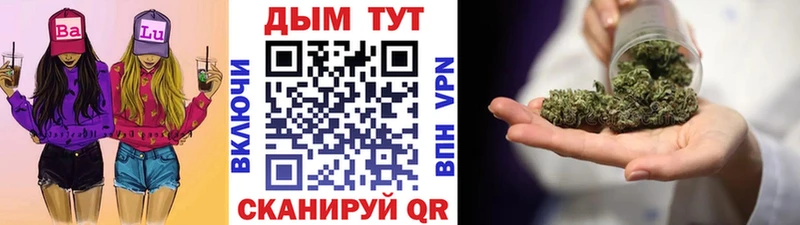 Купить где  Свирск  МАРИХУАНА сатива 